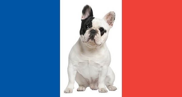 سگ های متعلق به کشور فرانسه
