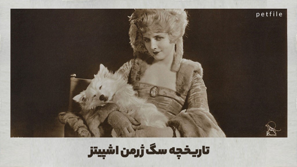 تاریخچه سگ ژرمن اشپیتز