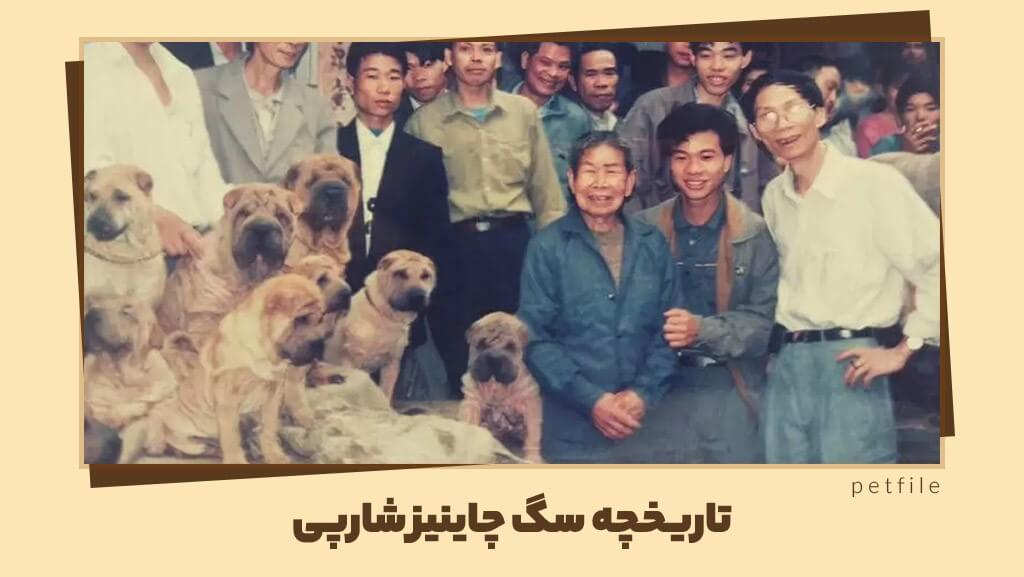 تاریخچه سگ چاینیز شارپی