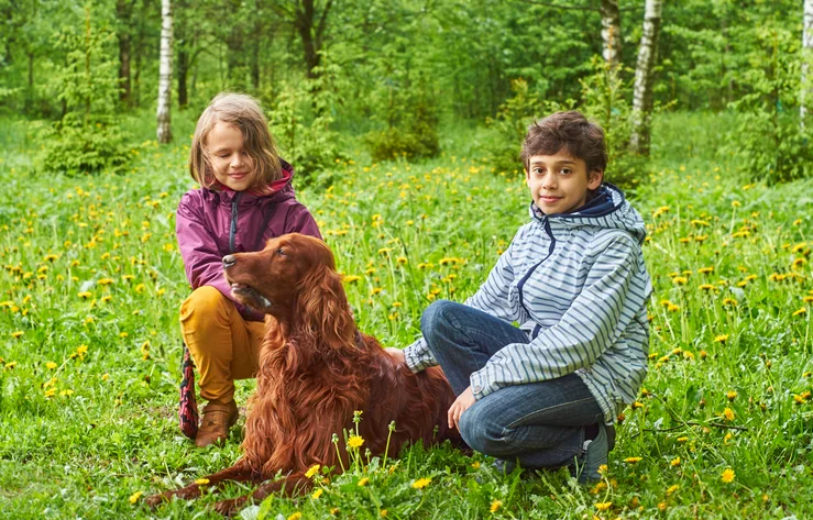 پسر بچه و دختر بچه در کنار ستر ایرلندی در جنگل