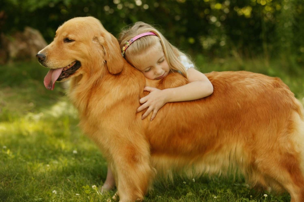 بهترین نژادهای سگ مناسب خانواده‌های دارای کودک