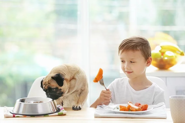 پسر بچه در کنار پاگ در حال غذا خوردن